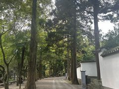 -白鹿洞书院