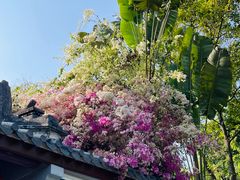 -深圳国际园林花卉博览园