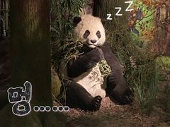 -湖南省地质博物馆