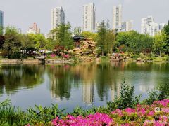 -和平公园