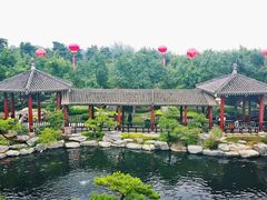 android_upload_pic-中国唐苑