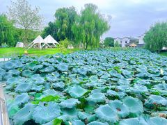 -丝绸小镇荻港古村