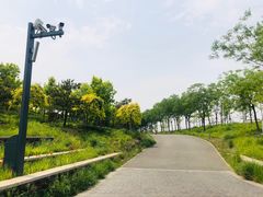 -东郊湿地公园
