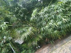 -人民公园(罗湖区)