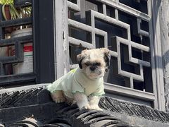 -葑门横街