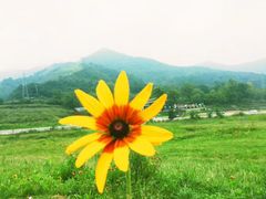 -照金红色旅游名镇
