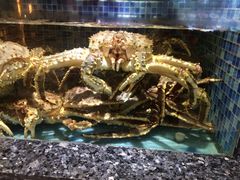 -宝燕壹号(徐汇店)