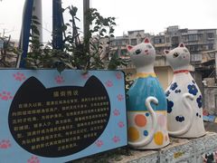 -猫咪博物馆(顶澳仔猫街店)
