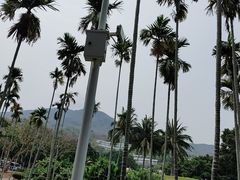 -三亚南山文化旅游区