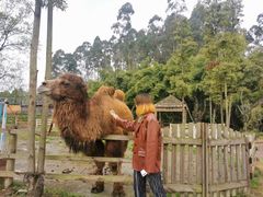 -都江堰玫瑰花溪谷