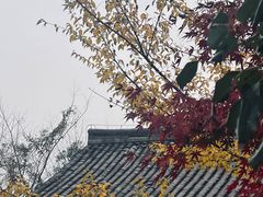 -杭州半山国家森林公园