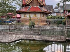 -西双版纳傣族园