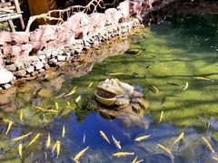 -本溪汤沟绿石谷森林公园