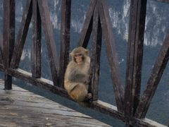 -重庆云阳龙缸景区