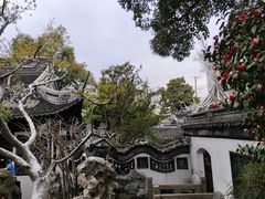 -豫园
