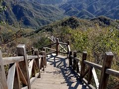 -大岭沟猕猴桃谷风景区
