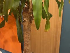 -Together·泰式按摩精油SPA(天山店)