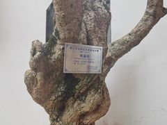 -南普陀寺