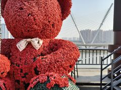 -映月湖中央公园