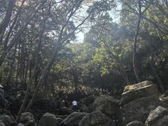 -北仑森林植物园