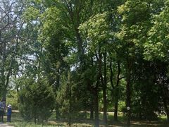 -北京麋鹿生态实验中心