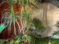 -J Create城市露营咖啡·简餐·宠物(上海动物园店)