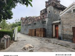 -蔡家宅