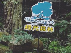 -绿光森林餐厅