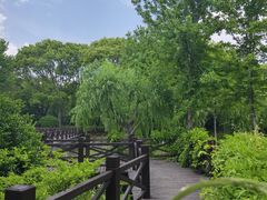 -上海鲜花港