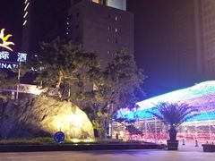 -电谷雅阁国际大酒店