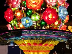 -锦江乐园舞狸花花游园会(夜场专享)