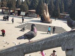 -龙口南山旅游景区