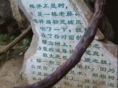 -天河潭旅游度假区