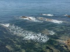 -大连金石滩滨海国家地质公园
