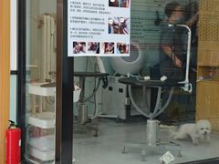 -中农大我爱我爱动物医院·核磁CT·猫病·24小时夜诊中心(石佛营店)