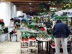 -AEON永旺(东方宝泰店)