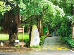 -广东茂名森林公园