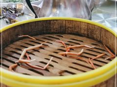 -百里鲜(羚羊峡古栈道森林公园店)