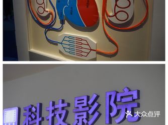 中国大好河山，好吃好玩的景点实在多不胜数，打卡热门城