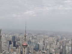 -上海柏悦酒店·世纪100牛排馆