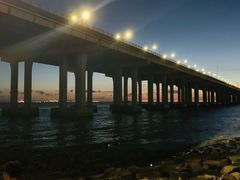 -宝安西湾红树林湿地公园