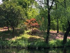 -共青国家森林公园-南大门停车场