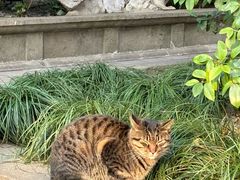 -龙华寺