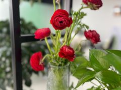 -万达广场(南宁青秀店)