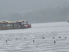 -杭州西湖柳莺里酒店·闻莺厅