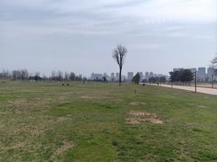 -汉长安城未央宫国家考古遗址公园