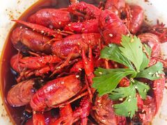 阳光院坝油焖大虾-阳光院坝小龙虾(红牌楼店)