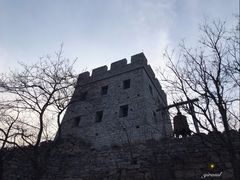 -井塘古村