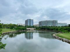 -宝安西湾红树林湿地公园