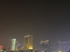 -珠江夜游省总码头